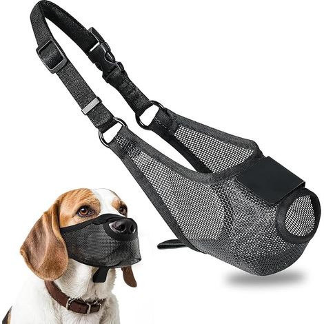 Muselière pour chiens (1/4)