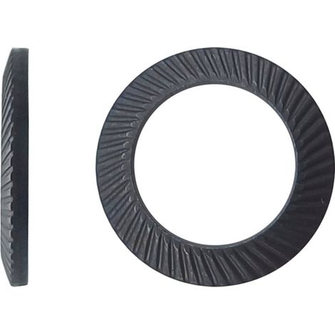 Rondelle SCHNORR® type VS brut - 5 mm - BIVI