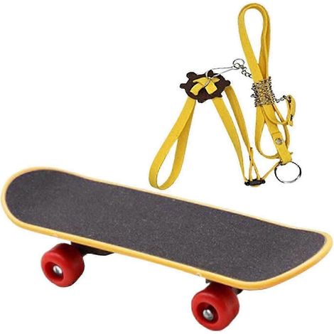 Un ensemble de 2 mini skateboards tortues avec une sangle de transport, adaptés aux petits animaux de compagnie tels que les dragons barbus. (1/5)