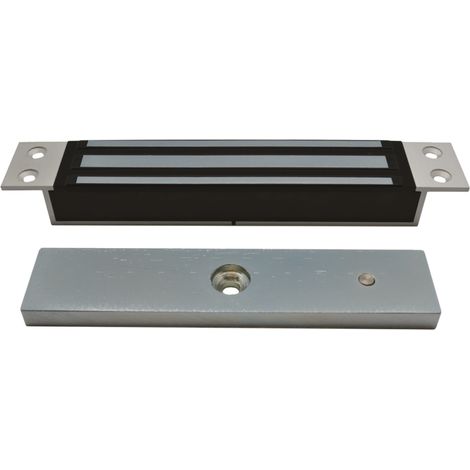 Dispositif de verrouillage électromagnétique Izyx gris 300 kg intégré (1/2)