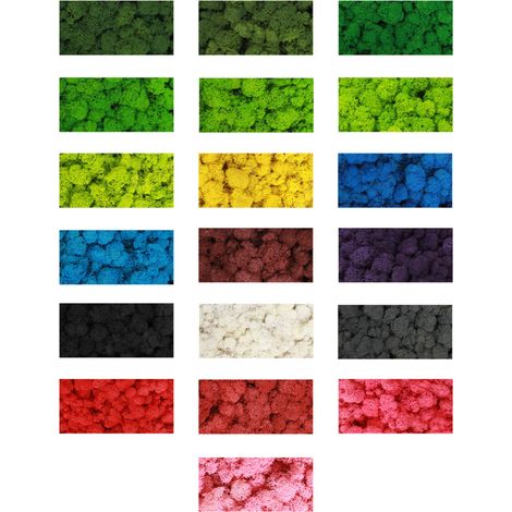 Decoración de pared hecha de musgo preservado, auténtica y fácil de cuidar, para uso en interiores, fiestas y oficinas () (1/5)