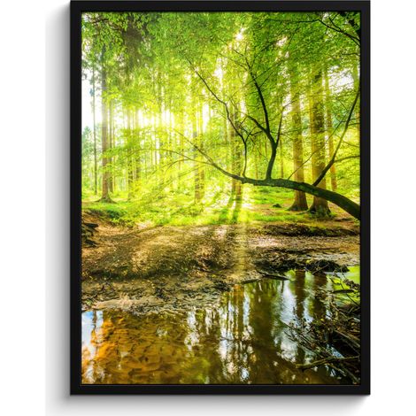 AFFICHE ENCADRÉE Forêt - Paysage - Eau - Arbres - Soleil - Vert - Nature Tableau Décoration Murale 60x80 (1/5)