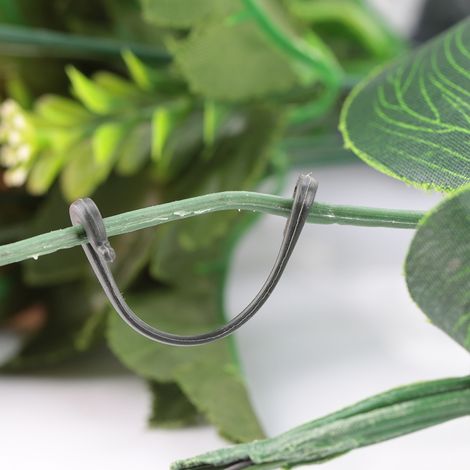 100 Pièces Agrafes de Fixation pour Vignes et Plantes Grimpantes Support de Croissance Jardinage-KZQ (1/5)