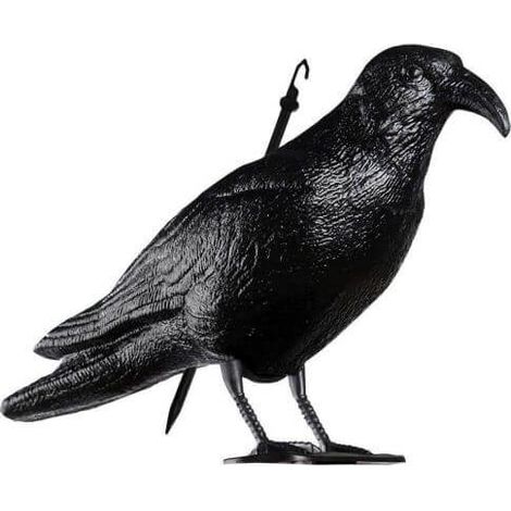 Statue épouvantail corbeau 35cm