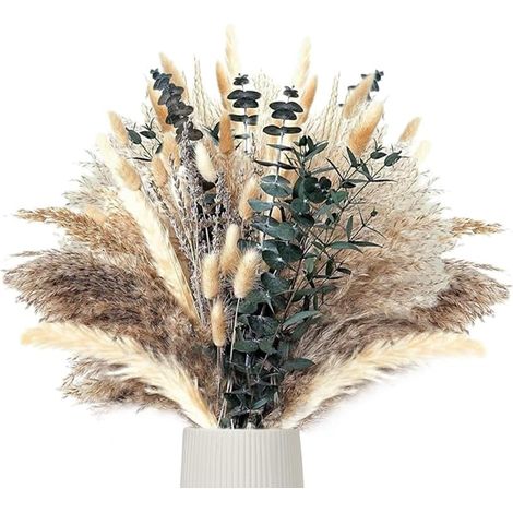 Décoration Bohème : Herbe de Pampa Séchée Naturelle et Queue de Lapin pour Intérieur et Maison (1/5)