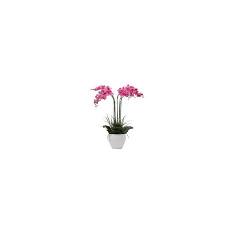 C ORCHIDEA C/VASO BIANCO 60 CM