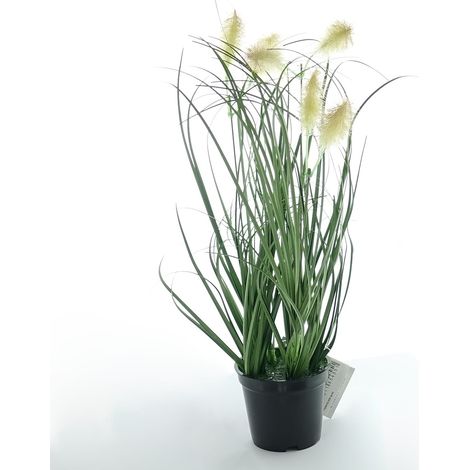Kaemingk Federborstengras im schwarzen Topf 30 cm - Kunstpflanzen (1/2)