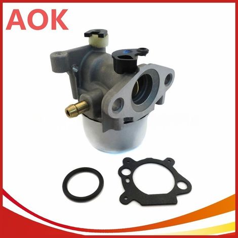 Carburateur Briggs 799871 – durable (1/3)