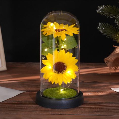 Rose Préservée - Dôme En Verre Avec Lumières Led - Cadeau Pour Fête Des Mères Saint Valentin Anniversaire - 21 x 11,5 x 9 cm - 1 Pièce (1/5)