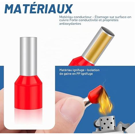 Embouts de Câble 10mm² (1/3)