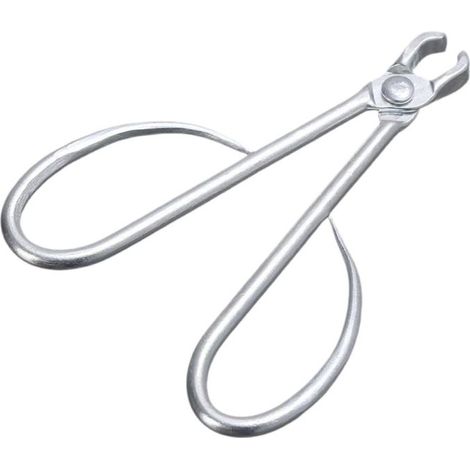 Ciseaux À Pignons De Pin Portables Outil De Casse-Noix Multi-usages Parfait pour Les Activités Domestiques Et Extérieures (1/5)
