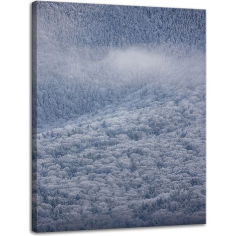 Leinwanddruck Natur Wald im Schnee 30x40 cm