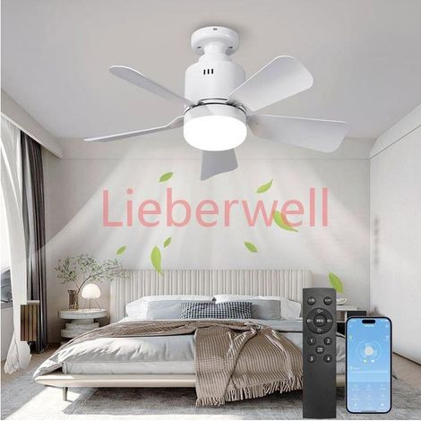 45cm Ceiling LIEBERWELL Fan with Light and Remote Control, 24W Ceiling Fan Lamp, 3 Color Temperatures, White (1/4)
