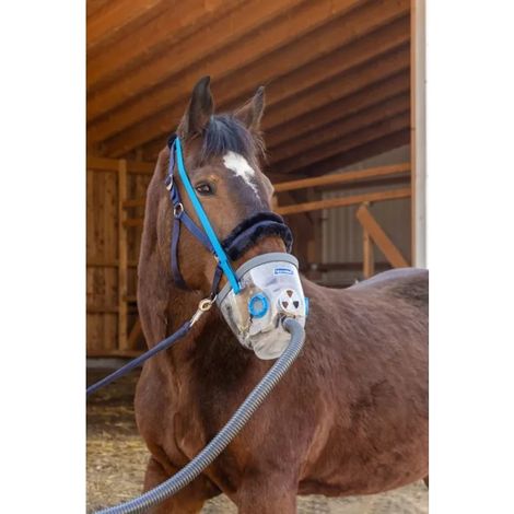 Maschera di inalazione Hippomed airone flex comoda flessibile