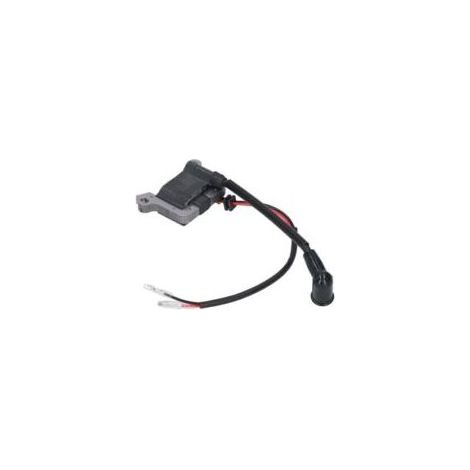 Bobine d'allumage pour débroussailleuse 63cc – Compatible moteur 48F – Alliage acier et ABS – Démarrage facile et durable - 1E48F (1/5)