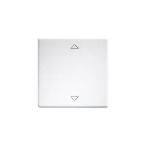 Eltako Wippen lasergraviert für Taster und Schalter 55er Design und E-Design55 reinweiß glänzend 30000981 (1/2)
