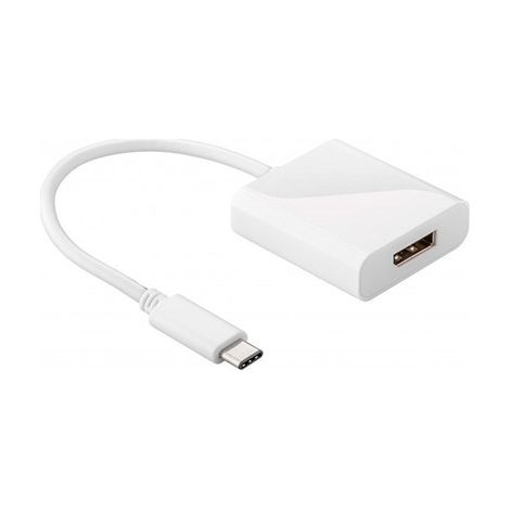 USB-C™-auf-DisplayPort™-Adapter, USB-C™-Stecker DisplayPort™-Buchse. Farbversion Weiß (1/3)