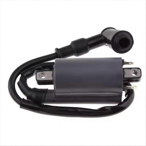 Bobine d'allumage compatible avec les moteurs Buyang 260, 260cc, 300cc, D300 et G300. (1/5)