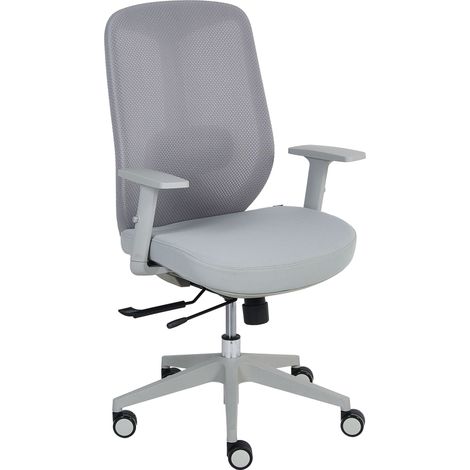 Office Chair Grey Mesh Fabric with Lumbar Support Adjustable Armrests Sliding Seat ZELAR (1/5)