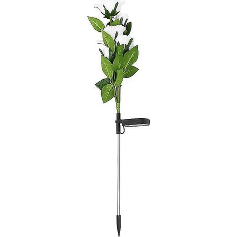 1 Rosenlampe (1/3)