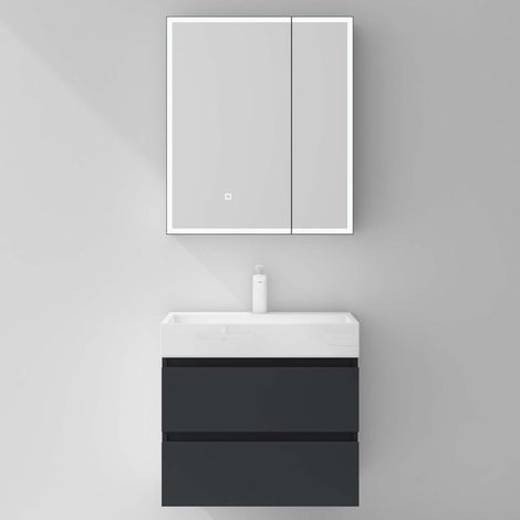 Mai & Mai Armoire de Toilette avec Éclairage LED Armoire Suspendue de Salle de Bain avec Miroir Armoire Miroir Mural 60x15x70 cm Anthracite Mat SpiegelSR-04