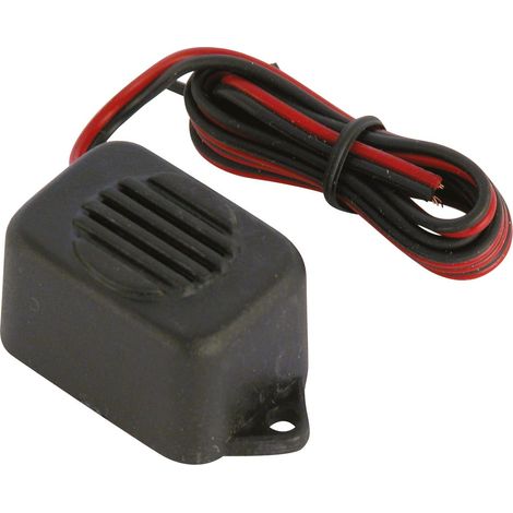 Avertisseur d'oubli de phares 6-12V – Tension 6-12V – Alerte sonore – Installation facile pour véhicules légers – Carpoint