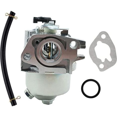 Vergaserersatz für Champ--pion Mount--field M150 RM45 RV150 SV150 V35 V40 Motor. (1/4)