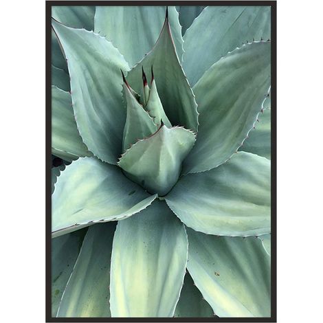 QUADRO INCORNICIATO 53x73 cm Foglie P1035 (1/4)