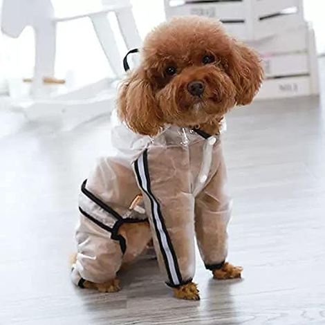 Poncho à capuche pour chien, imperméable à capuche pour chien, imperméable imperméable pour chien, veste imperméable pour chien (1/4)