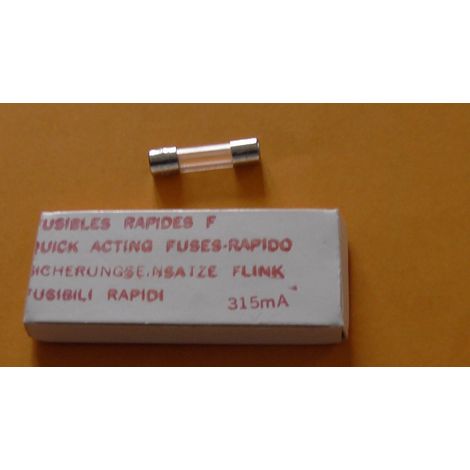 10 FUSIBLES 5x20 315mA 250V Rapide FSP FUSIBLE