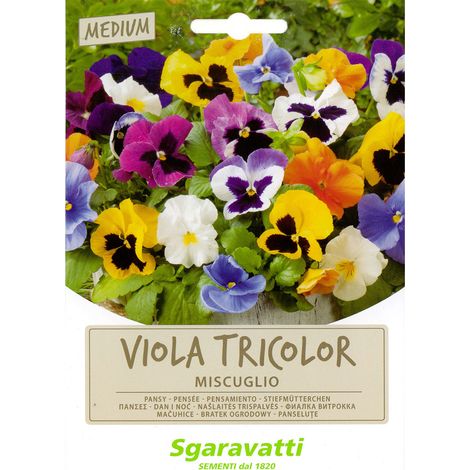 SEMI PER PRATO UNIVERSALE viola tricolor miscuglio Q.TA 20 viola tricolor miscuglio