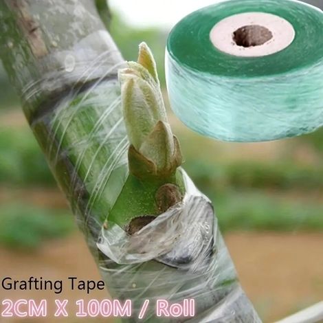 (1 rouleau, 2 cm) Film adhésif PE extensible pour greffage, idéal pour les arbres, les semis, les plants de tomates et autres plantes grimpantes. Accessoires de greffage pour le jardin.