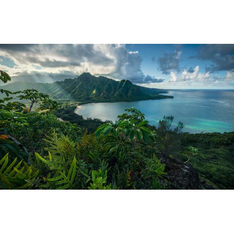 Papier peint panoramique naturel Île Jurassique (1/4)