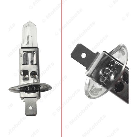 Kit d'ampoules halogènes de secours pour phares de voiture H1/H4/H7/1156/1157/R5W/W5W/ATC (10 pièces) (1/4)