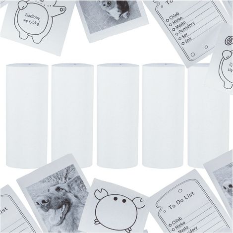 Thermopapierrollen für Minidrucker 5,7cmx4,5m 5 Stück