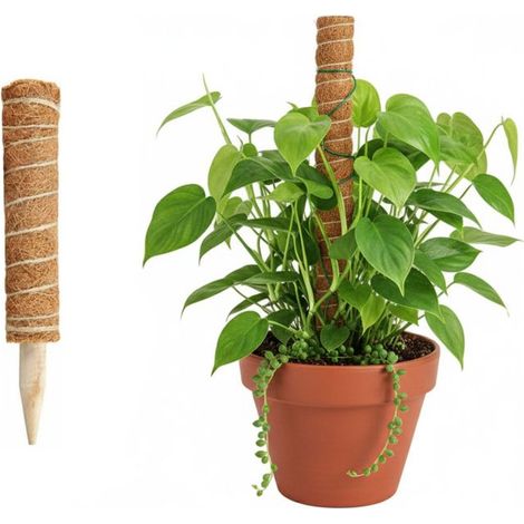 Tuteur en mousse de coco (1 pièce), support télescopique réutilisable pour plantes grimpantes, idéal pour les plantes à fleurs (30 cm). (1/5)