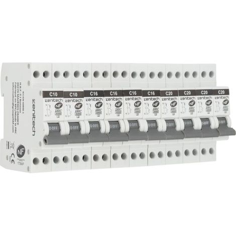 Pack de 10 disjoncteurs 2x10A + 4x16A + 4x20A -