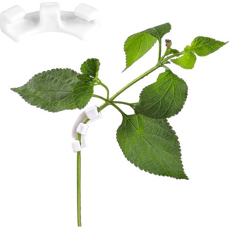 Lot de 30 tuteurs blancs à faible stress pour plantes, avec clips LST, pour le jardinage (1/4)