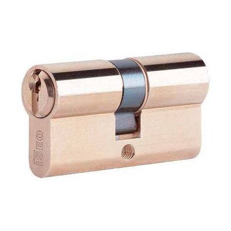 CYLINDRE PROFILÉ 8209 ISEO