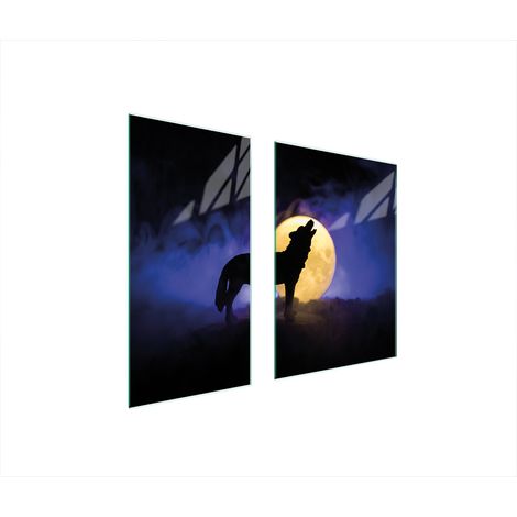 PLACA PROTECTORA DE VIDRIO 75x52 LOBO (1/5)