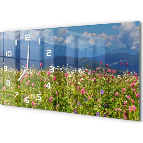 Horloge Murale XXL 60x30 cm Design Moderne en Verre Trempé Salon Salle à Manger Prairie dans les montagnes (1/5)