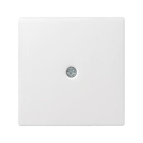 Gira Zentralpl.Schnurabl. rws System55 027427 (1/5)