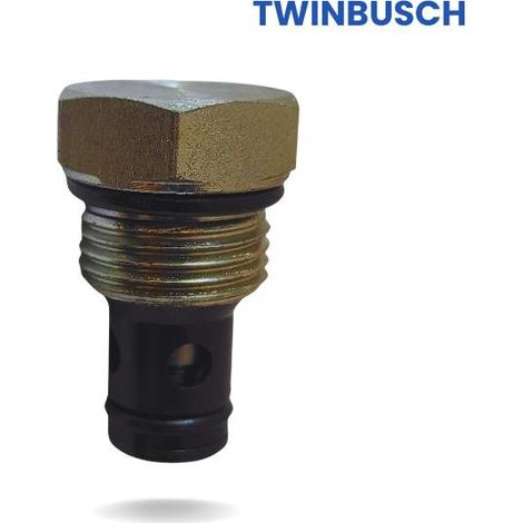 Sostituzione valvola di ritegno Twin Busch: (1/5)
