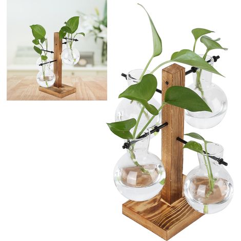 Vase Hydroponique Innovante avec Support en Bois pour Fleurs - Décoration de Bureau Transparente Maison (1/5)