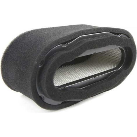 Filtre à air pour moteurs Kawasaki FH500V FH601V FH721V (1/5)