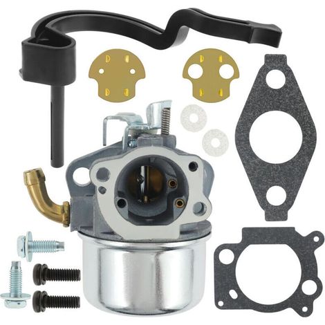 Vergaser-Reparatursatz 591925, passend für Vergaser 698479, 693518, 698475, 205 cm³, Motor 110432-0179-E1