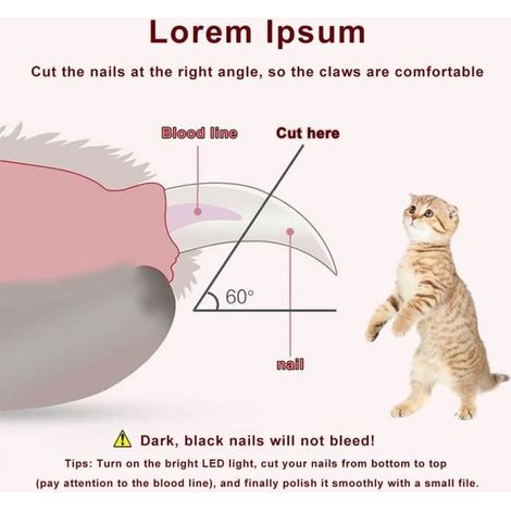 HONORNIC - Coupe Ongle Chien Chat,Professionnel Coupe Griffes pour Animaux de Compagnie,avec des Lumières LED et Protection éclaboussures(Bleu) - 2