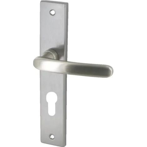 Manilla de puerta dt-2000 biarritz zamak níquel satinado cilindro