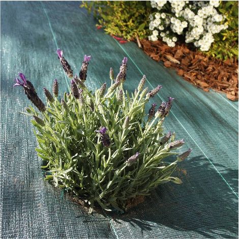 Toile de paillage tissée 90 g / m² 1.6 m x 20m