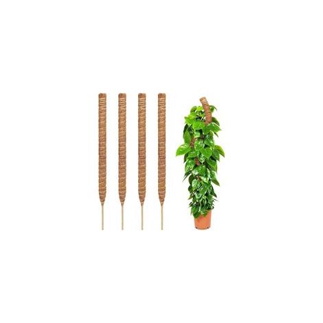 Tuteurs en mousse pour plantes Monstera – Lot de 2 tuteurs flexibles de 71 cm pour plantes Monstera, piquets pour plantes d'intérieur, supports pour plantes grimpantes. (1/5)